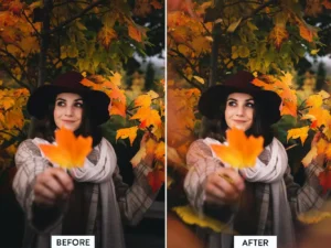40 autumn leaves overlays1 1