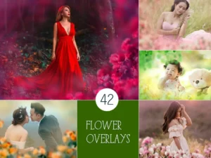 42 painted flowers photo overlays1