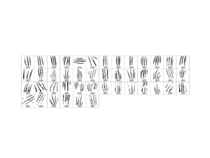 45 animal claw photoshop stamp brushes 2
