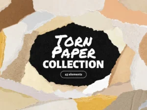 45 torn paper element collection