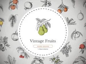 45 vintage fruit isolated illustration pack1
