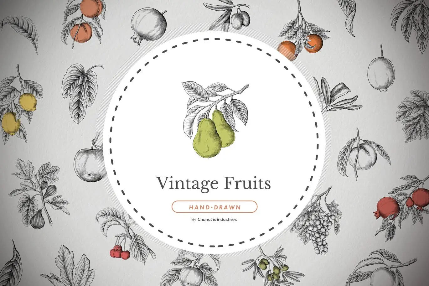 45 Vintage Fruit Isolated Illustration Pack