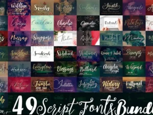 49 script fonts bundle