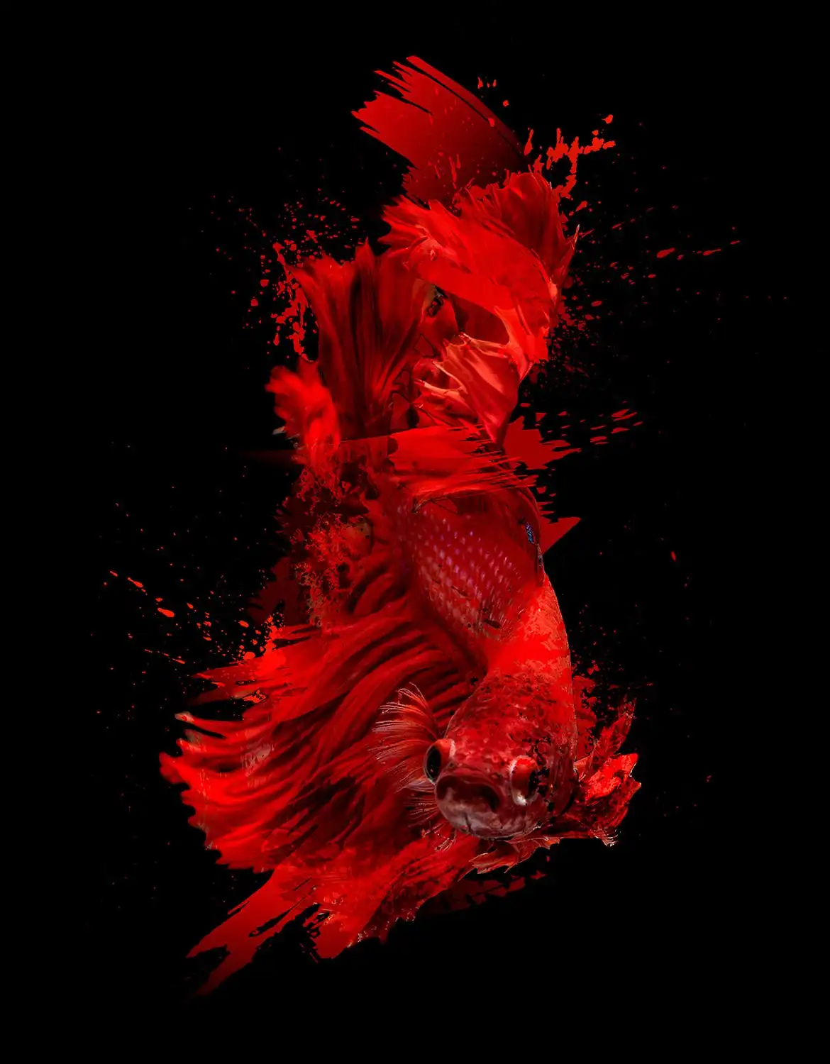 50 Stroke Splatter Photoshop Brushes Collection 4 50 stroke splatter photoshop brushes collection 3
