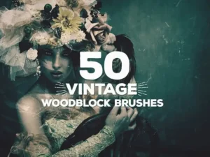 50 vintage woodblock brushes 5