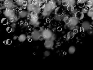 50 water drops photoshop stamp brushes 3 1