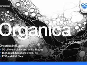 50 black and white organic textures1