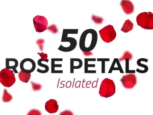 50 isolated red rose petals1