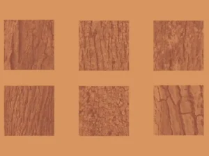 50 tree bark photoshop brushes 1