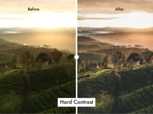 6 nature lightroom preset 6