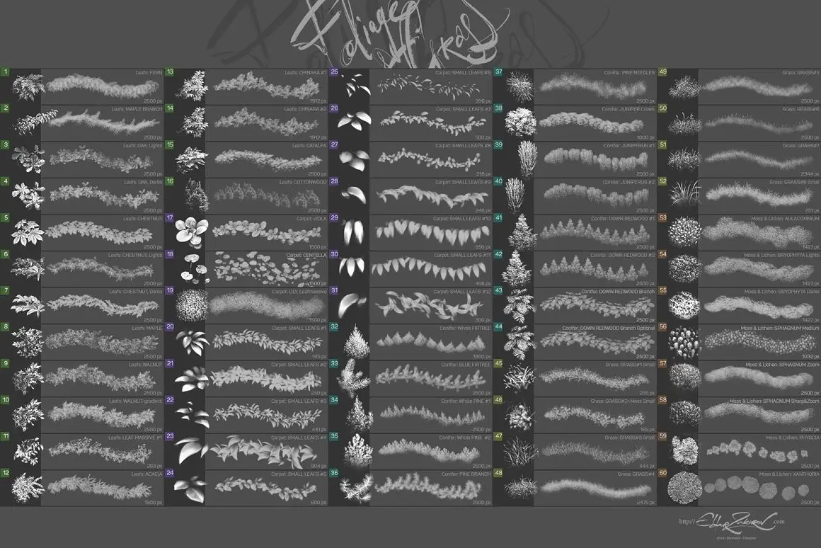 60 Photoshop Foliage & Grass brushes 4 60 photoshop foliage grass brushes6