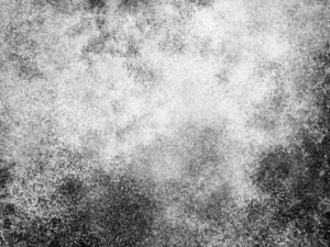 60 powder photoshop stamp brushes 2