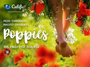 66 poppie flowers photo overlays1