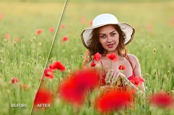 66+ Poppie Flowers Photo Overlays, Photography Overlays, Wedding Overlays, Flowers Overlay, Poppie Overlays 4 66 poppie flowers photo overlays3