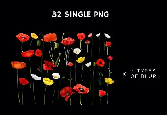 66+ Poppie Flowers Photo Overlays, Photography Overlays, Wedding Overlays, Flowers Overlay, Poppie Overlays 8 66 poppie flowers photo overlays7
