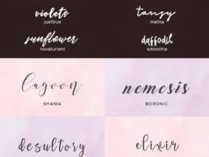 70 handwritten script fonts collection