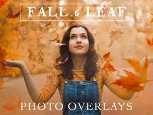 70 natural falling autumn leaves photo overlays1