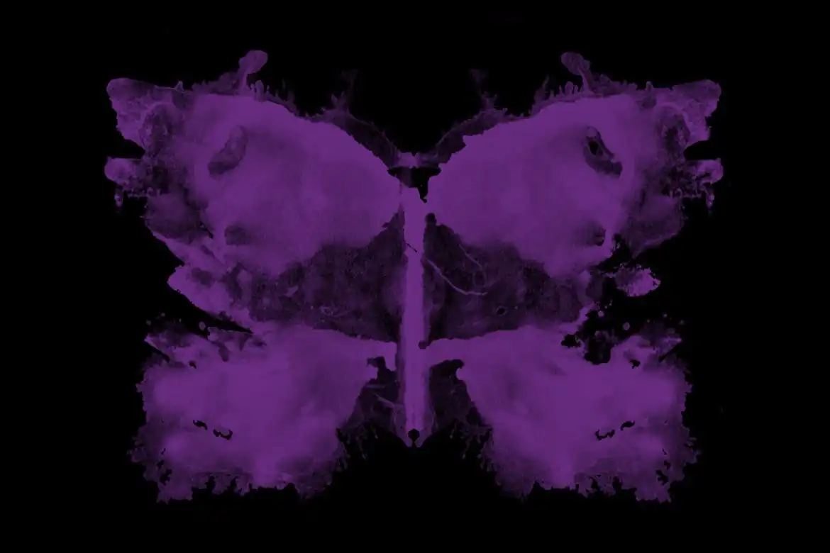 75 Rorschach Butterflies Photoshop Brushes