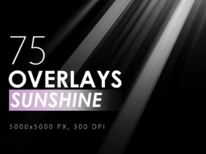 75 sunshine overlays1