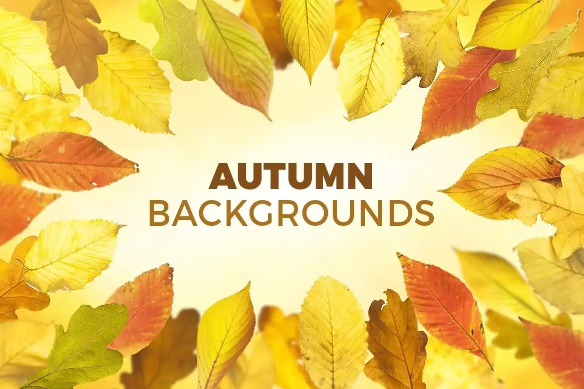 8 Autumn Backgrounds with Editable Text 4 8 autumn backgrounds with editable text 1