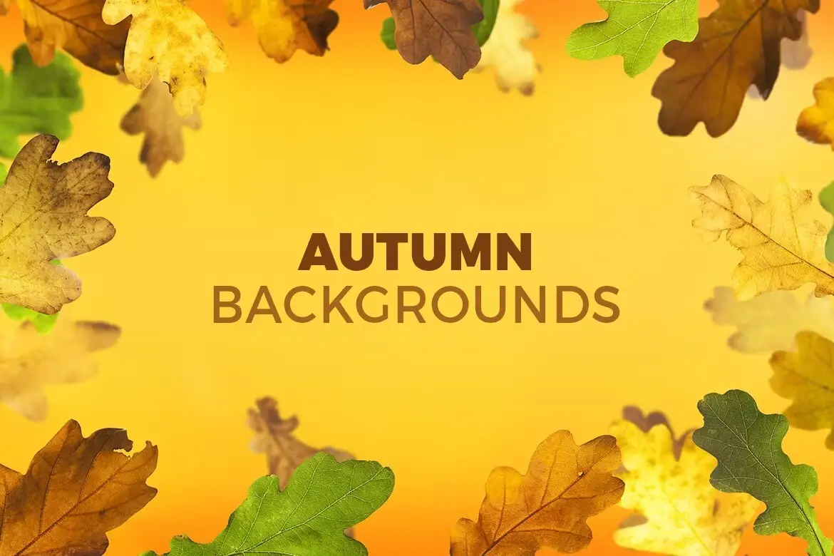8 Autumn Backgrounds with Editable Text 3 8 autumn backgrounds with editable text 3