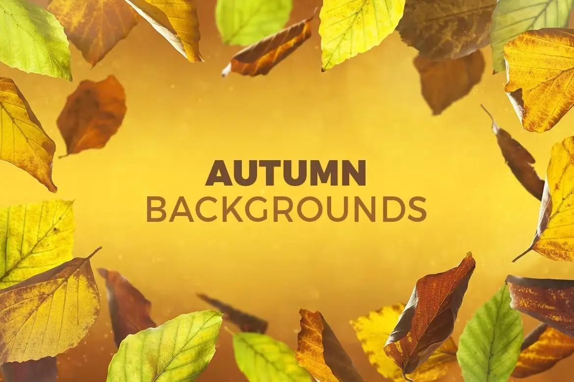 8 Autumn Backgrounds with Editable Text 5 8 autumn backgrounds with editable text 4