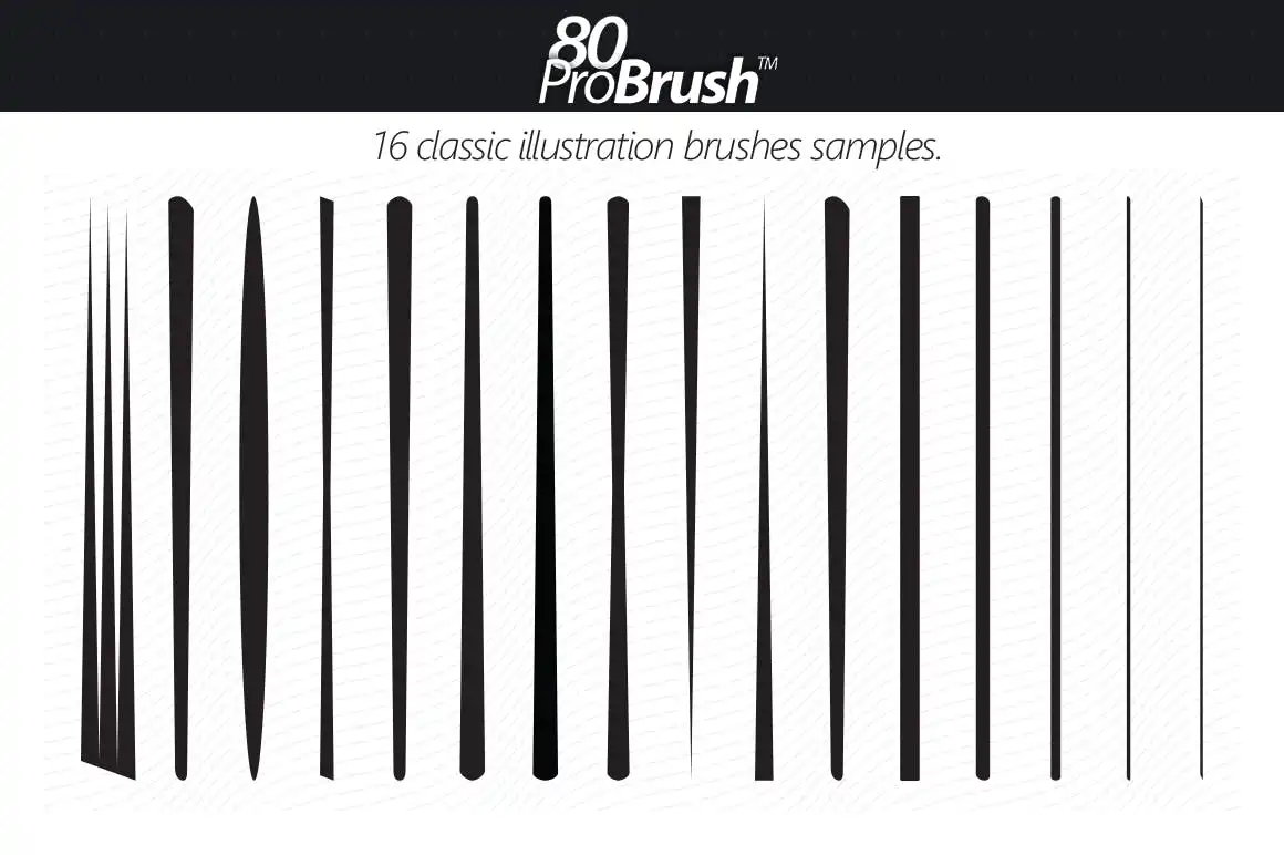 80 ProBrush 2 80 probrush 2 2