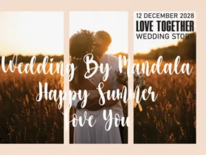 absolute script font 5