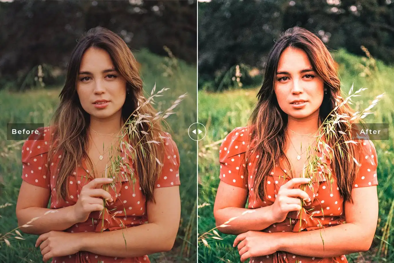 Abutilon Mobile &amp; Desktop Lightroom Presets