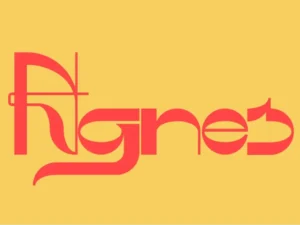 agnes a display font