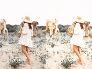 album memories photoshop action 4