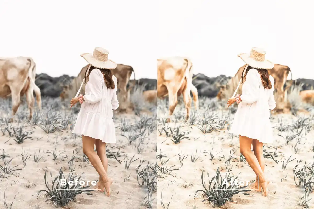 Album Memories Photoshop Action
