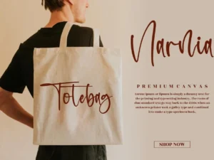 alisteria modern handwritten font 5