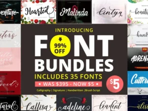 all you need bundle