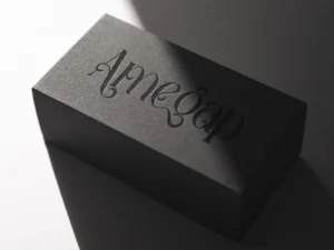 amegap serif font 5