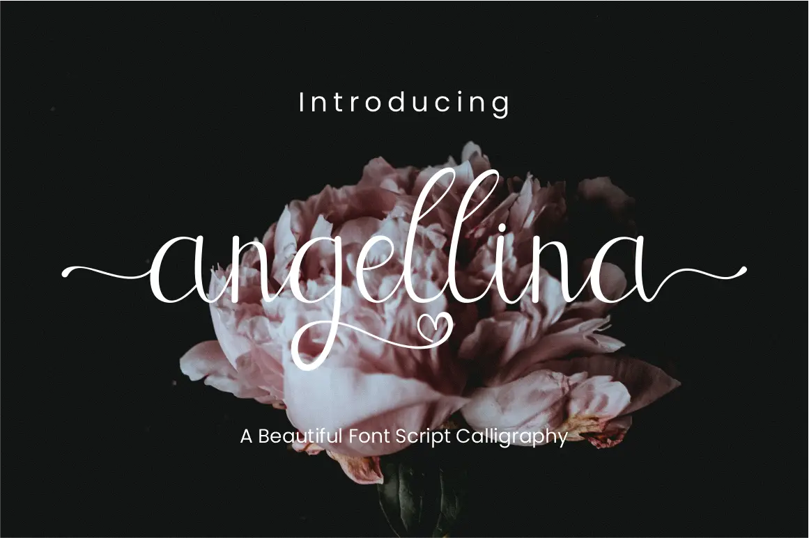 Angellina Calligraphy Font