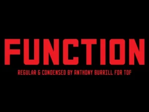 anthony burrill function
