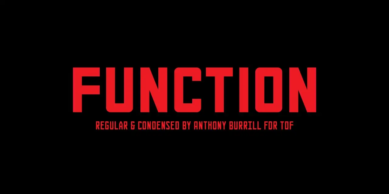Anthony Burrill-Function