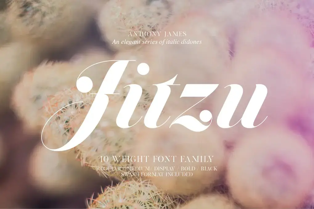 Anthonyjjames-Jitzu Typefamily