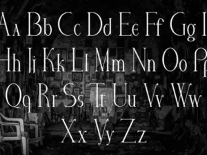 arina serif font 4