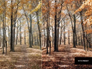 arta autumn presets for mobile and desktop