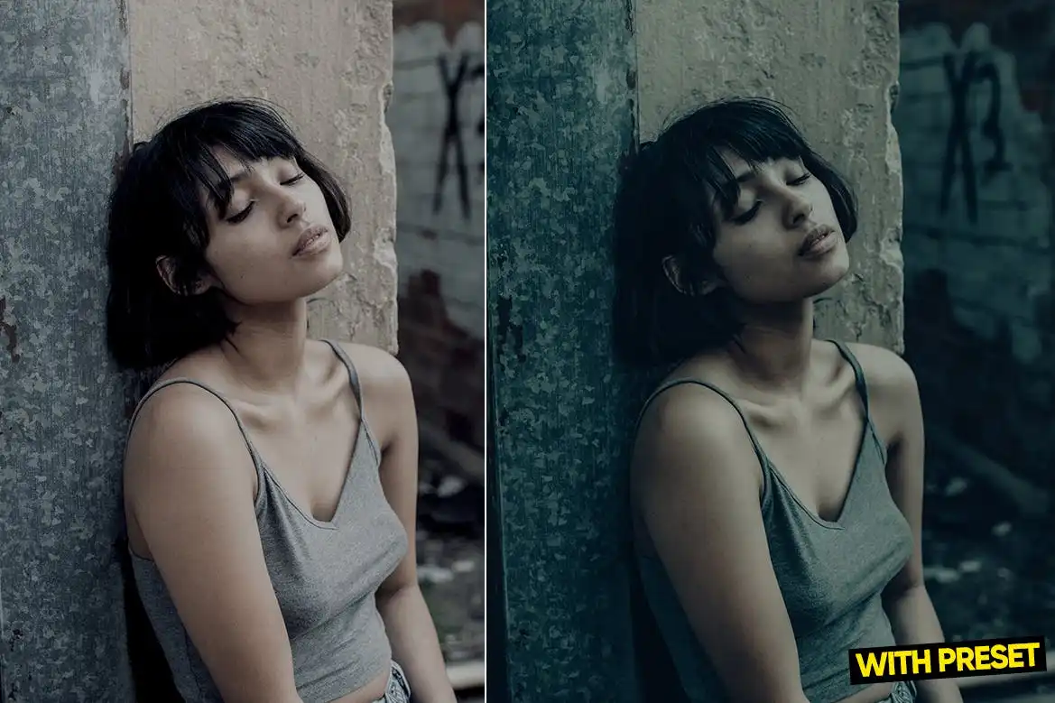 Arta-Cold Film Presets For Lightroom