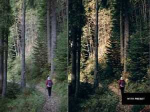 arta forest presets for mobile and desktop 2
