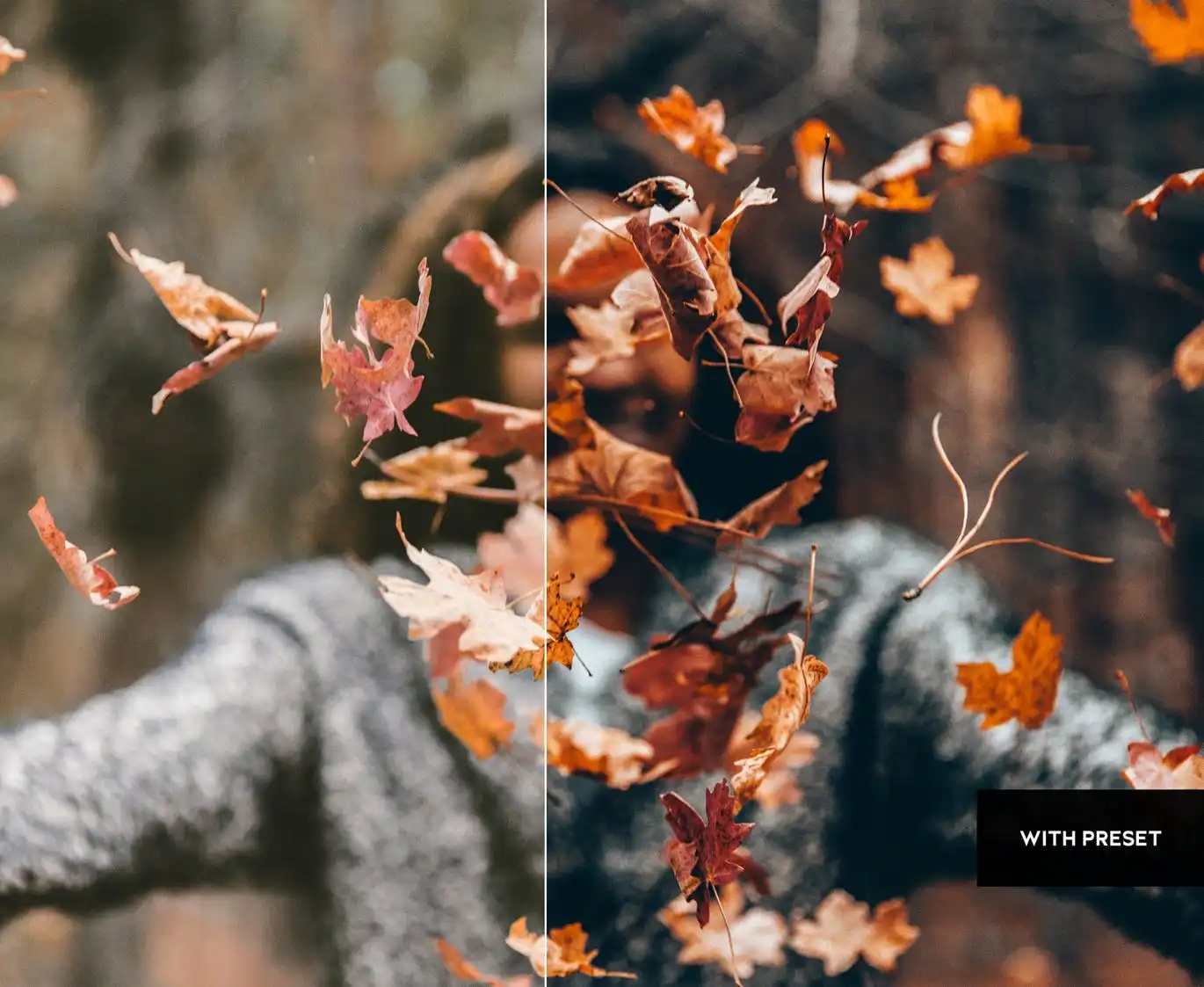 Arta Halloween Presets For Mobile And Desktop