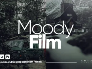 arta moody film presets for lightroom 5