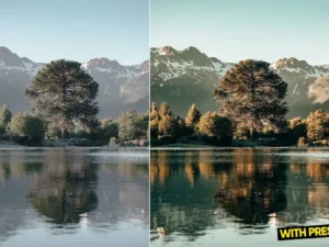 arta nature presets for lightroom 2