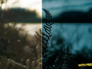 arta northteal presets for lightroom 2