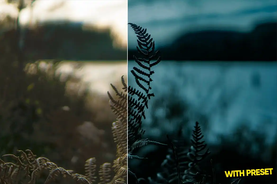 Arta-Northteal Presets For Lightroom