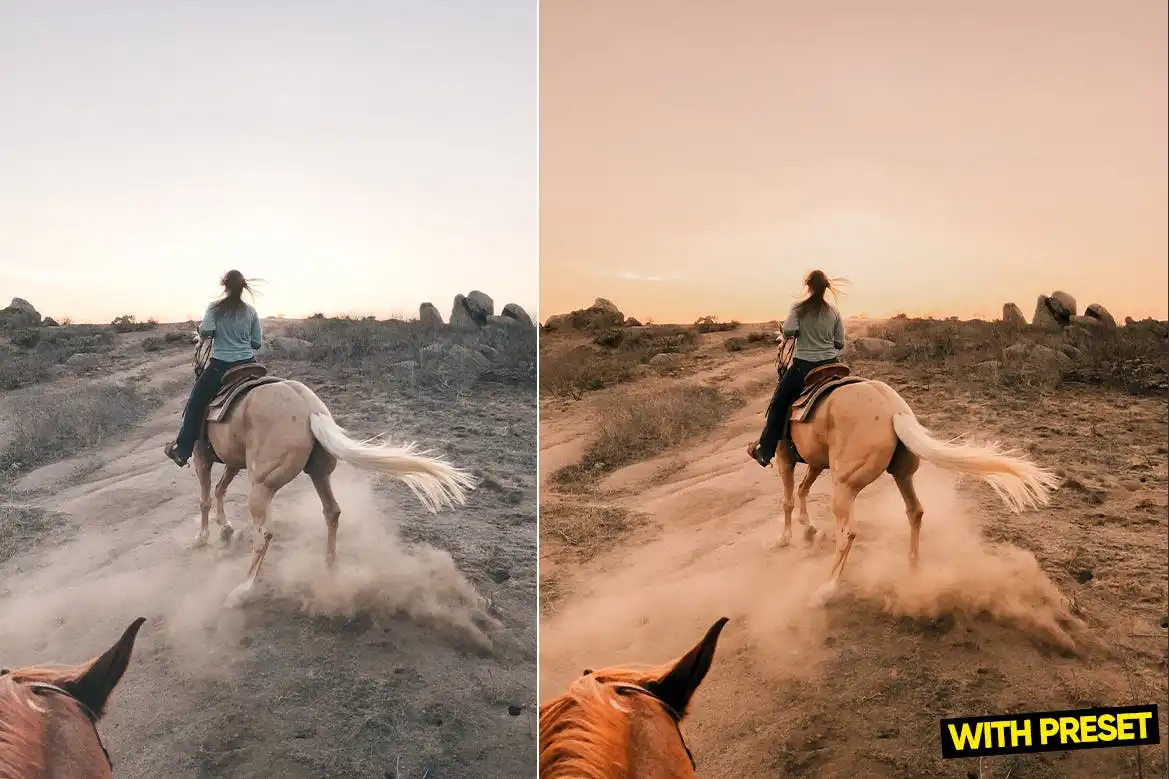 Arta-Puredesert Presets For Lightroom 5 arta puredesert presets for lightroom 4