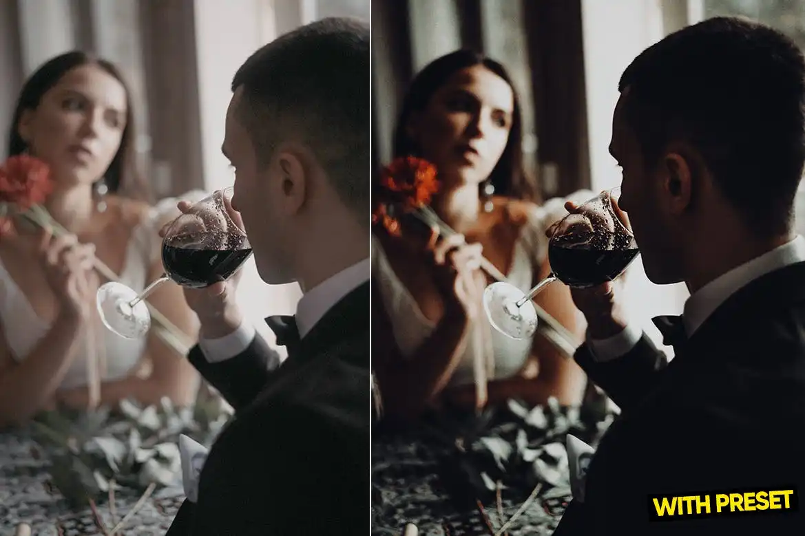 Arta-Stately Presets For Lightroom